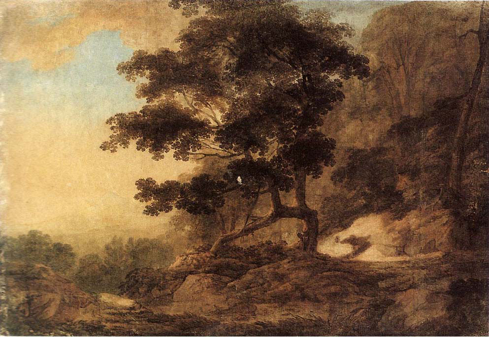 A View of the Dargle
